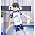 baratos Roupa de natação-Infantil Para Meninos roupa de banho Desenho Animado Manga Curta Crewneck Ao ar livre Legal Dinossauro branco Verão Roupas 3-7 anos
