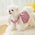 cheap Dog Clothes-Autumn and Winter Warm and Thickened Dog Clothes Bow Sweater Skirt Princess Style Cat Pet Teddy Two legged Clothing