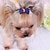 cheap Dog Clothes-Pet Accessories Pet Dog Hair Clip Headdress Pet Headdress