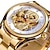 お買い得  機械式腕時計-FORSINING 男性 機械式時計 贅沢 大きめ文字盤 ファッション ビジネス 自動巻き 光る 防水 合金 腕時計