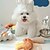 preiswerte Hundespielsachen-Kau-Spielzeug Plüsch-Spielzeug Interaktives Spielzeug Quietschen Spielzeug mit Langlebig Druck ablassen Haustiertraining Beißseil Spielzeug Beißspielzeug für Hunde Katzen Innen Draussen Haustier