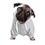 billige Hættetrøjer med kæledyrstryk-jeg elsker min mor hund hættetrøje med bogstavtryk tekst memes hund sweater til store hunde hund sweater solid blød børstet fleece hundetøj hund hættetrøje sweatshirt med lomme
