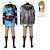 cheap Anime Costumes-Inspired by The Legend of Zelda: Tears of the Kingdom Link Anime Cosplay Costumes Japanese Masquerade Cosplay Suits Wig Costume For Men&#039;s Women&#039;s
