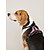 cheap Dog Collars, Harnesses &amp; Leashes-Dog Cat Mesh Harness Vest Reflective Strip Soft Adjustable Outdoor Walking Solid Colored Polyester Small Dog Medium Dog Large Dog Black Light Pink Light Red 1PC