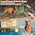 Недорогие Товары для дрессировки собак-Ошейник для дрессировки собак с дистанционным управлением, водонепроницаемый перезаряжаемый электрический тренировочный ошейник длиной 2000 футов