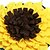 cheap Dog Toys-1pc Interactive Sunflower Pet Snuffle Mat - Slow Feeder Dog Puzzle Toy for Training and Play Encourages Natural Foraging Instincts