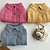 preiswerte Mäntel-Hund Katze Mäntel Jacke Mode Niedlich Winter Warm Weich Waschbar Bequem Outdoor Sport Hundebekleidung for Bichon Frise Pudel Zwergspitz Baby Haustier Papillon