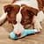 Χαμηλού Κόστους Παιχνίδια για σκύλους-1 τμχ σχέδιο μπουκαλιού κρασιού για κατοικίδιο ζώο που τρίβει δόντια, βελούδινο, ανθεκτικό παιχνίδι για μάσημα για σκύλους διαδραστική προμήθεια