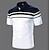 cheap Multipack-Multi Packs 2pcs Men&#039;s Polo Collar Short Sleeves 1 Polo Button Up Polos Golf Shirt Color Block Daily Wear Vacation Polyester Spring &amp; Summer