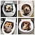 baratos Adesivos de Parede Decorativos-Adesivo de banheiro de animal de cachorro de gato 3d, adesivo de parede de decoração de casa, adesivo autoadesivo à prova d&#039;água e à prova de óleo