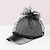 billige Festhatte-hatte fiber solhat slørhat afslappet ferie enkel retro med prikket tyl hovedbeklædning