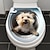 baratos Adesivos de Parede Decorativos-Adesivo de banheiro de animal de cachorro de gato 3d, adesivo de parede de decoração de casa, adesivo autoadesivo à prova d&#039;água e à prova de óleo