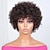 رخيصةأون باروكات كابلس شعر طبيعي-باروكة شعر بشري قصيرة من بيكسي كات للنساء ذوات البشرة السمراء، باروكة شعر بشري بدون دانتيل أمامي مع الانفجارات، طبقات كاملة مصنوعة آليًا، لون 1B