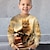 tanie chłopięce bluzy z kapturem 3D-Dla chłopców 3D Kot Bluzy Pullover Długi rękaw Druk 3D Wiosna Jesień Moda Moda miejska Nowoczesne Poliester Dzieci 3-12 lat Półgolf Na zewnątrz Codzienny Regularny