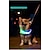 tanie Obroże, uprzęże i smycze dla psów-Gryzonie Psy Króliki Opaska odblaskowa Świecący kołnierz Obroża Anti Lost Tracker Odblaskowy Regulowany Przenośny Trener Lampy LED regulowany elastyczny Trwały Można ładować Bezpieczeństwo Życie