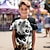 tanie chłopięce koszulki 3D-Dla chłopców 3D Lew T-shirt Koszula Krótki rękaw Druk 3D Lato Aktywny Sport Moda Poliester Dzieci 3-12 lat Półgolf Na zewnątrz Codzienny Regularny
