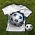 halpa poikien 3d t-paidat-Poikien 3D Jalkapallo T-paita Paita Lyhythihainen 3D-tulostus Kesä Aktiivinen Urheilu Muoti Polyesteri Lapset 3-12 vuotta Tiukka pyöreä kaula-aukko ulko- Kausaliteetti Päivittäin Normaali