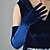 Χαμηλού Κόστους Κοστούμια Κοσμήματα-Γάντια Όπερας Μακριά γάντια Βραδινά γάντια Γάντια Ρετρό / Βίντατζ Δροσμός 20ετών 1920 Πολυεστέρας Για Κοριτσάκι Μεταμφίεση Απόκριες Γυναικεία Κοστούμια Κοσμήματα Κοσμήματα μόδας