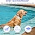 זול אילוף כלבים-קולר אילוף הלם כלבים עם שלט רחוק ip67 קולר כלבים עמיד למים לכלבים גדולים בינוניים וקטנים