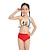 cheap Swimwear-Kids Girls&#039; Swimsuit Outdoor Color Block Active Bathing Suits 7-13 Years Summer Red