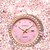 voordelige Quartz-horloges-Dames Quartz horloges Minimalistisch Sportief Zakelijk Polshorloge WATERDICHT Roestvrij staal Horloge