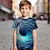 ieftine tricouri 3d pentru băieți-Băieți 3D Grafic Tricou Cămașă Manșon scurt Tipărire 3D Vară Activ Sport Modă Poliester Copii 3-12 ani Stil Nautic În aer liber Casual Zilnic Fit regulat