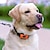 olcso Kutyakiképzés és viselkedésformálás-1db intelligens ultrahangos ugatásgátló készülék újratölthető automata kutyakiképző nyakörv ugatásgátló nyakörv