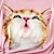 voordelige meisjes 3d t-shirts-Voor meisjes 3D Tekenfilm Kat T-shirt Overhemd Roze Korte mouw 3D-afdrukken Zomer Actief Modieus leuke Style Polyester Kinderen 3-12 jaar Strakke ronde hals Buiten Casual Dagelijks Normale pasvorm