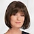 cheap Older Wigs-Chin-Length Bob Wig with Natural Looking Crown and Flirty Bangs/Multi-tonal Shades of Blonde Silver Brown and Red