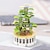 cheap Building Toys-Women&#039;s Day Gifts Succulent Building Block Flower Ds1013-ds1017 Potted Plant Series Creative Diy Puzzle Toys Decorative Flower Ornaments Mother&#039;s Day Gifts for MoM