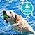 ieftine Comportament &amp; Antrenament Câini-Zgarda de șoc pentru câini - zgarda de dresaj electrică pentru câini, reîncărcabilă, rezistentă la apă, cu telecomandă, pentru câini de talie mică și medie, cu vibrații sonore, moduri de șoc sigure