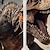 billige Drenge 3D overtøj-Drenge 3D Dinosaurus Jakke Langærmet Forår Efterår Vinter Aktiv Gade Sej Polyester Børn 3-12 år V-hals Lynlås Gade Daglig Regulær