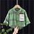 voordelige T-shirts &amp; Overhemden-Peuter Jongens Overhemden Grafisch Lange mouw Buiten Katoen Dagelijks Shirt groen Lente Kleren 3-7 jaar