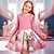 voordelige 3D-jurken voor meisjes-Meisjes 3D Kat Jurk Roze Lange mouw 3D-afdrukken Lente Herfst Sport &amp; Outdoor Dagelijks Feestdagen leuke Style Casual Mooi Kinderen 3-12 jaar Casual jurk A lijn jurk Boven de knie Polyester Normale