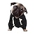 cheap Pet Printed Hoodies-Dog Cat Pet Pouch Hoodie Graphic Quotes &amp; Sayings Fashion Casual Outdoor Casual Daily Winter Dog Clothes Puppy Clothes Dog Outfits Breathable Black Costume for Girl and Boy Dog Polyster S M L XL XXL