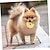 preiswerte Kauspielzeug-Kau-Spielzeug Interaktives Spielzeug Quietschen Spielzeug mit Langlebig Haustierübung Beißspielzeug für Hunde Katzen Innen Draussen Haustier spielen