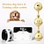voordelige Hondentraining &amp; Gedrag-elektrische halsband voor huisdieren, waterdichte ontvanger, trainingshalsband voor honden