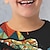 voordelige jongens 3d t-shirts-Jongens 3D Dinosaurus T-shirt Overhemd Lange mouw 3D-afdrukken Lente Herfst Sport Modieus Streetwear Polyester Kinderen 3-12 jaar Strakke ronde hals Buiten Casual Dagelijks Normale pasvorm