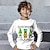 preiswerte 3D-T-Shirts für Jungen-St. Patrick Jungen 3D Buchstabe Hut T-Shirt Hemd Langarm 3D-Druck Frühling Herbst Sport Modisch Strassenmode Polyester kinderkleidung 3-12 Jahre Rundhalsausschnitt Outdoor Casual Täglich Regular Fit