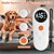 cheap Dog Training &amp; Behavior-Dog Shock Collar MODUSKYE Vibration Dog Training Collar with Remote 1640FT Rechargeable RC E-Collar Waterproof Collars with 3 Training Modes Locked for All Dog Breeds Sizes