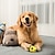 Χαμηλού Κόστους Παιχνίδια για σκύλους-λάτεξ μπάλες παιχνιδιών για σκύλους μασούν παιχνίδι για κουτάβι παιχνίδια οδοντοφυΐας για μικρούς μεσαίους σκύλους.