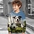 billiga pojkar 3d huvtröjor och tröjor-Pojkar 3D Hund Fotboll Huvtröja Pullover Långärmad 3D-tryck Vår Höst Mode Streetwear Designer Polyester Barn 3-12 år Huva Utomhus Ledigt Dagligen Normal