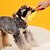 זול צעצועים לכלבים-צעצוע לכלב בצורת שרימפס מטוגן בטמפורה עמיד לנשיכה צעצוע לעיסה לכלבים מקורה &amp; חתולים