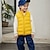 cheap Outerwear-Kids Unisex Vest Coat Black Yellow Light Green Solid Color Spring Fall Adorable School 7-13 Years