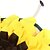 preiswerte Hundespielsachen-1 Stück interaktive Sonnenblumen-Schnüffelmatte für Haustiere – langsames Feeder-Puzzlespielzeug für Hunde zum Training und Spielen fördert den natürlichen Futtersuchinstinkt
