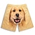 voordelige nieuwigheid grappige hoodies en t-shirts-Dier Hond Korte broek Cartoon Manga Anime Grafisch Short Voor Voor heren Volwassenen 3D afdrukken Straat Casual / Dagelijks