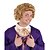 abordables Perruques de personnages de films-Willy Wonka et la chocolaterie Willy Wonka perruque pour hommes perruques de carnaval perruques d&#039;Halloween