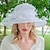 halpa Juhlahatut-hatut jää silkki keila / cloche hattu aurinkohattu rento teejuhla elegantti yksinkertainen romanttinen ja splicing päähine