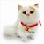 Χαμηλού Κόστους Κούκλες-προσομοιωμένα στολίδια κούκλας γάτας χονδρικής χειροτεχνίας δημιουργικά μοντέλα δώρων θα κουνήσουν την ουρά τους και θα τα αποκαλούν παχουλά