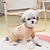 cheap Dog Clothes-Dog Cat Sweater Letter &amp; Number Casual Daily Simple Style Dailywear Casual Daily Winter Dog Clothes Puppy Clothes Dog Outfits Breathable Khaki Grey Costume for Girl and Boy Dog Flannel Fabric XS S M